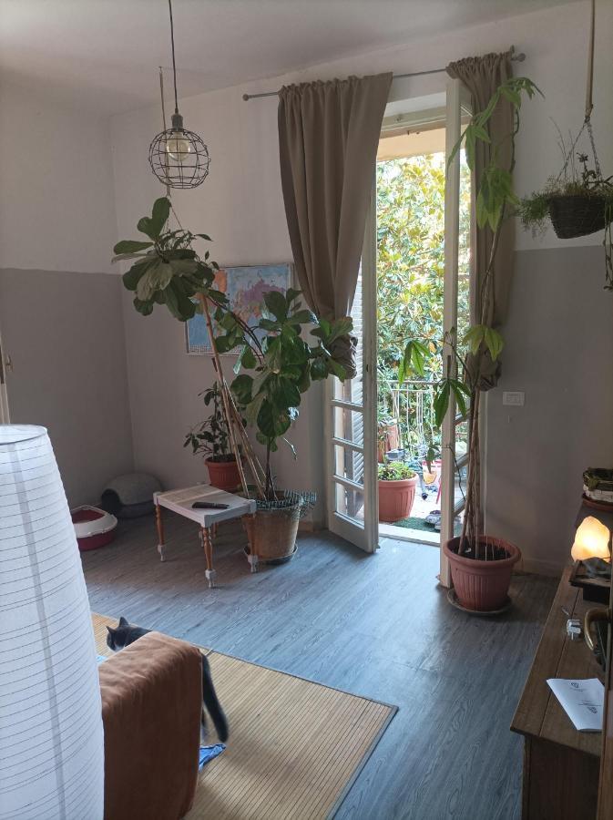 Апартаменты Boh & Boh A Casa Di Luca And His Cats Перуджа Экстерьер фото