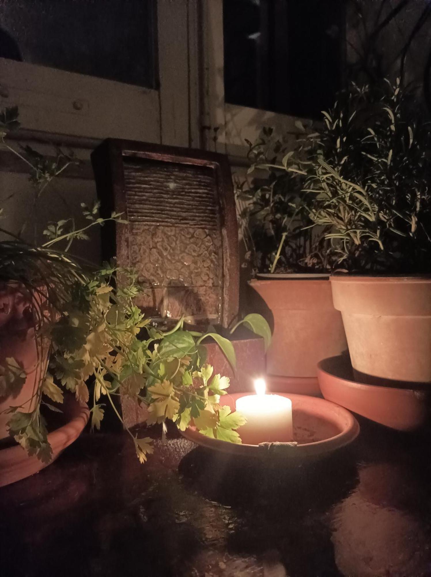 Апартаменты Boh & Boh A Casa Di Luca And His Cats Перуджа Экстерьер фото