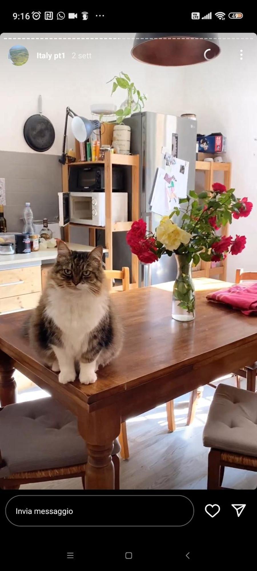 Апартаменты Boh & Boh A Casa Di Luca And His Cats Перуджа Экстерьер фото