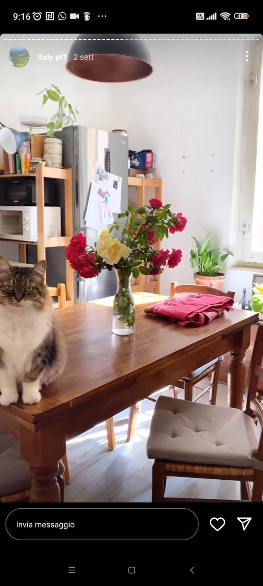 Апартаменты Boh & Boh A Casa Di Luca And His Cats Перуджа Экстерьер фото